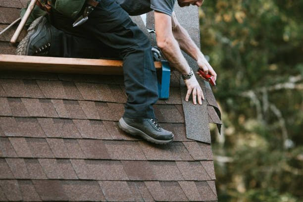 Best Roof Maintenance Services  in Wellsburg, WV